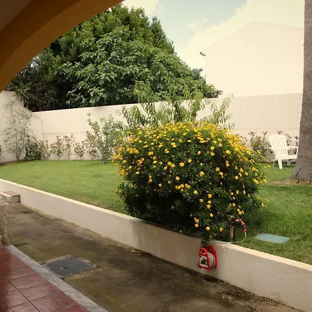 Casa Palmas B&B 오비도스