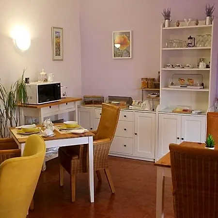 Casa Palmas 4*