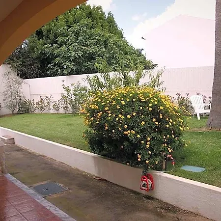 Bed & Breakfast Casa Palmas Obidos